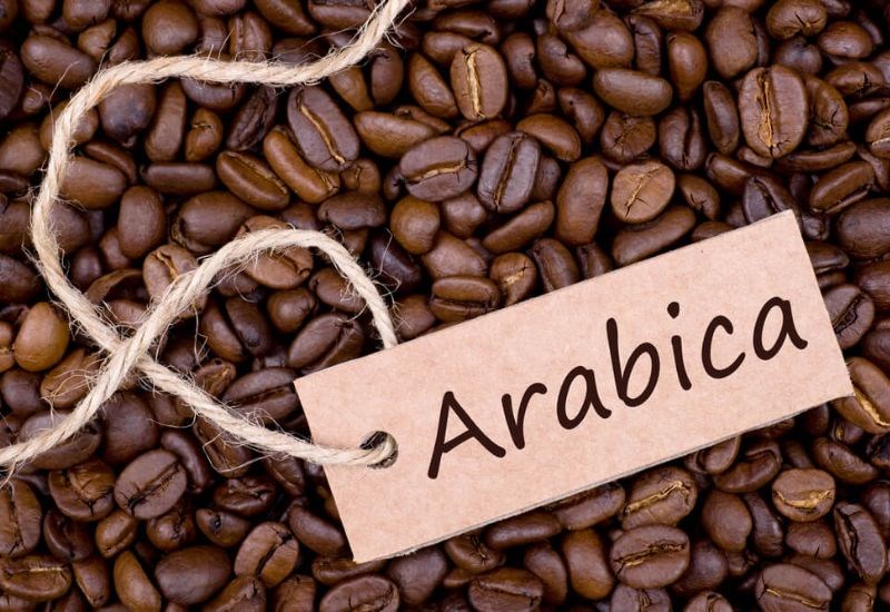 Arabica